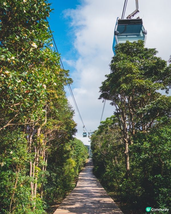 【昂坪行山探索遊】四大山徑+纜車85折優惠全解析