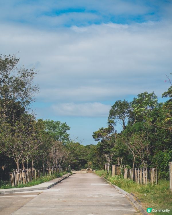 【昂坪行山探索遊】四大山徑+纜車85折優惠全解析