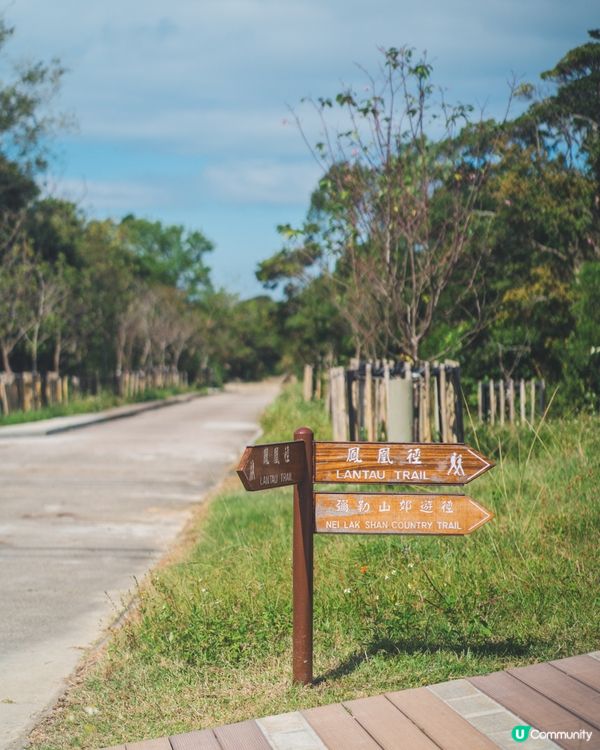 【昂坪行山探索遊】四大山徑+纜車85折優惠全解析