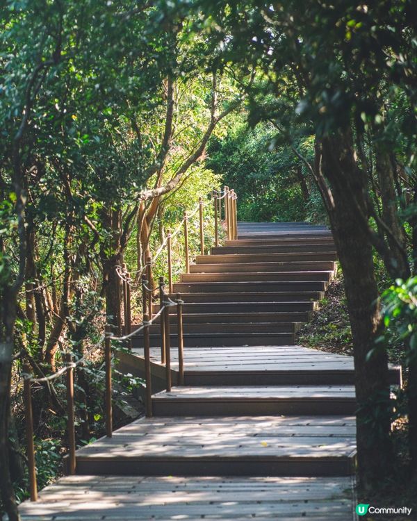 【昂坪行山探索遊】四大山徑+纜車85折優惠全解析