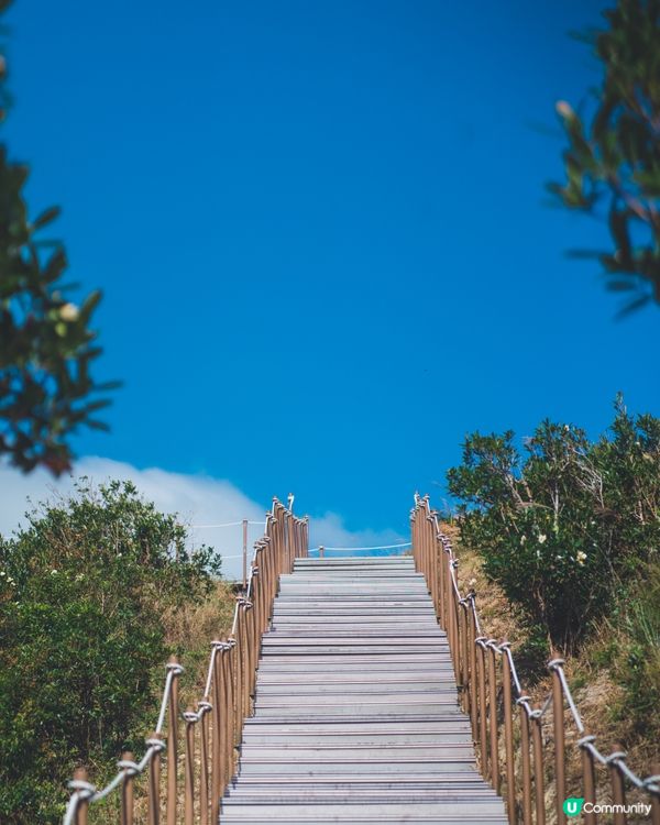 【昂坪行山探索遊】四大山徑+纜車85折優惠全解析