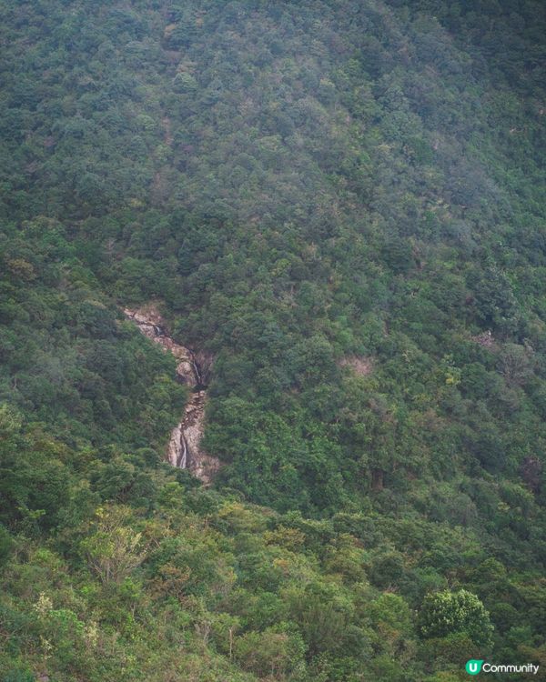 【昂坪行山探索遊】四大山徑+纜車85折優惠全解析