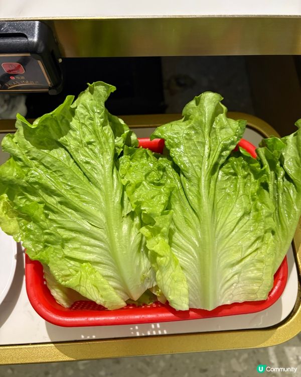 秘店推介🤫「坤記兄弟火鍋店🍲」必食鮮嫰多汁鮮牛肉🥩