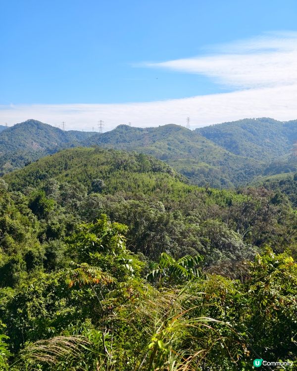 元朗行山的好處🍂大棠楓香林