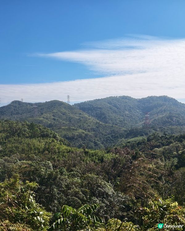 元朗行山的好處🍂大棠楓香林