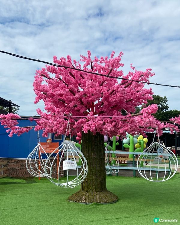 天氣轉涼最適合BBQ