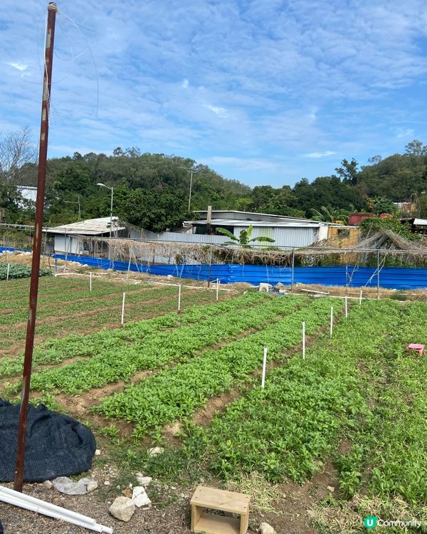 天氣轉涼最適合BBQ