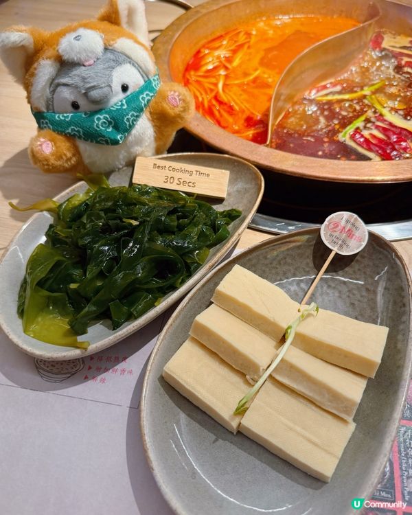 銅鑼灣新火鍋店！😋 冬天嘅安慰，夏天嘅罪惡！🤤 唔怕