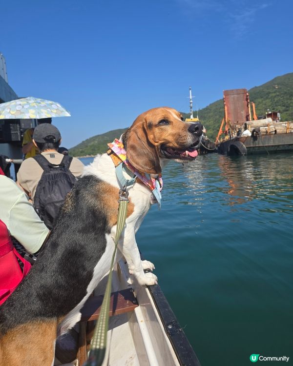 出發！去玩！荔枝莊人寵活動, 享受大自然美景與歡樂時光. 