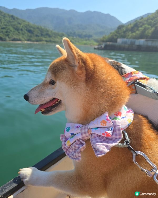 出發！去玩！荔枝莊人寵活動, 享受大自然美景與歡樂時光. 