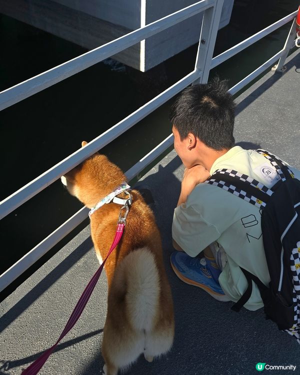 出發！去玩！荔枝莊人寵活動, 享受大自然美景與歡樂時光. 