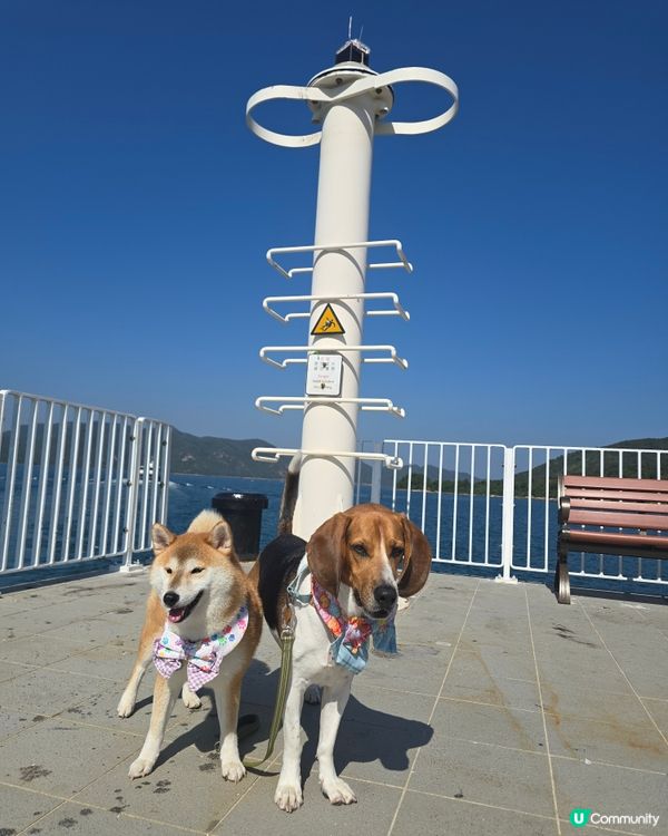 出發！去玩！荔枝莊人寵活動, 享受大自然美景與歡樂時光. 