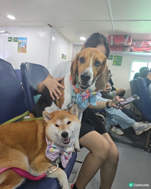 出發！去玩！荔枝莊人寵活動, 享受大自然美景與歡樂時光. 