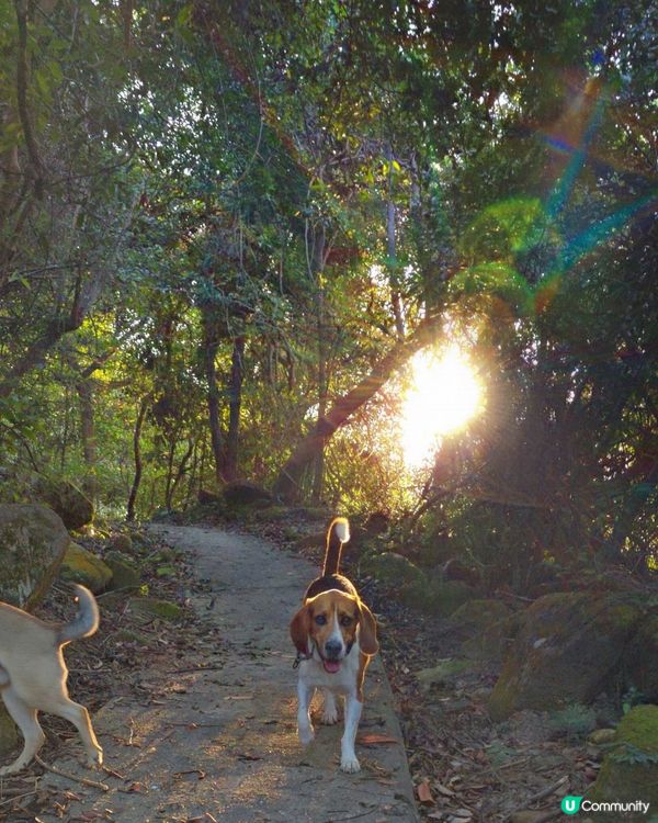 出發！去玩！荔枝莊人寵活動, 享受大自然美景與歡樂時光. 