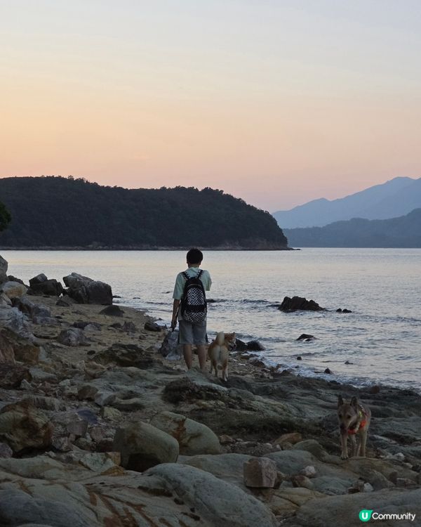 出發！去玩！荔枝莊人寵活動, 享受大自然美景與歡樂時光. 