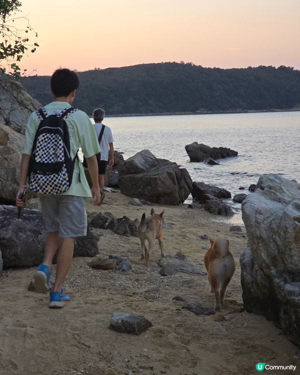 出發！去玩！荔枝莊人寵活動, 享受大自然美景與歡樂時光. 