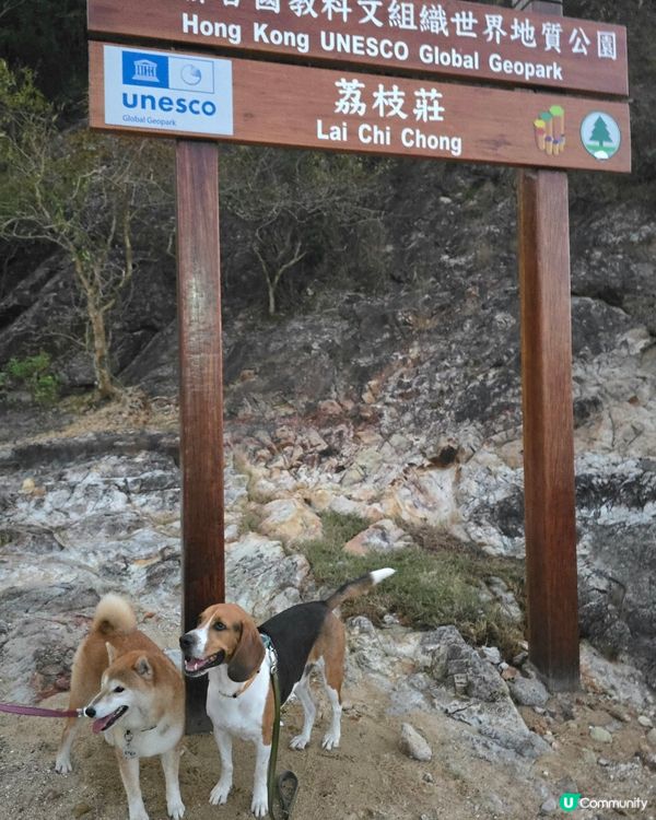 出發！去玩！荔枝莊人寵活動, 享受大自然美景與歡樂時光. 