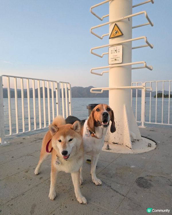 出發！去玩！荔枝莊人寵活動, 享受大自然美景與歡樂時光. 