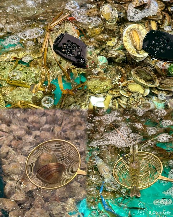 海鮮控天堂‼️即撈活海鮮＋限定大閘蟹🦀