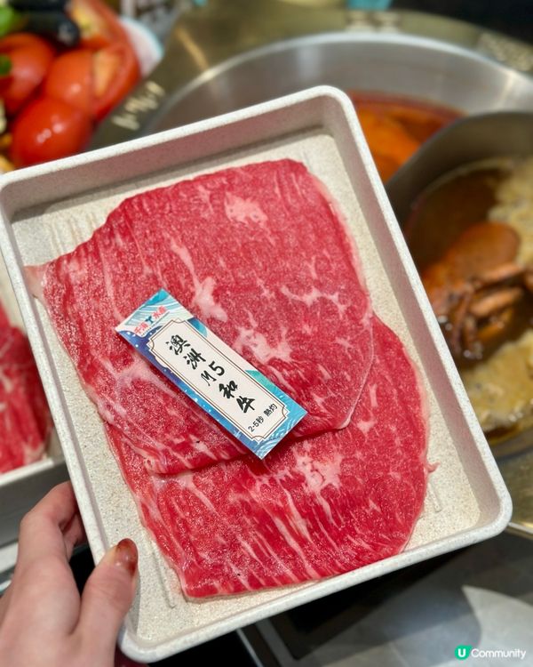 海鮮控天堂‼️即撈活海鮮＋限定大閘蟹🦀