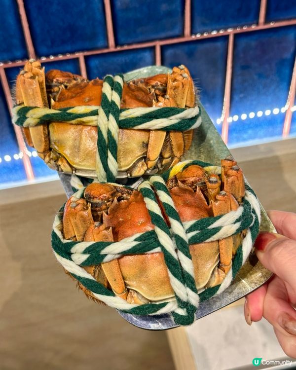 海鮮控天堂‼️即撈活海鮮＋限定大閘蟹🦀