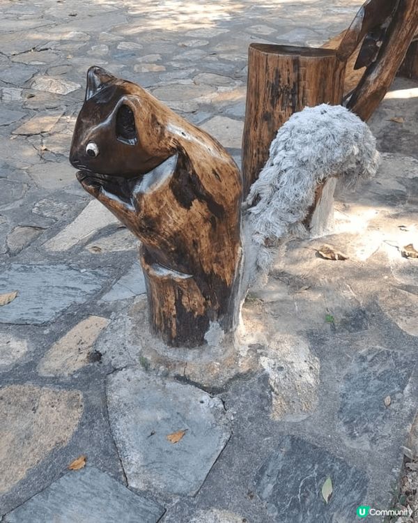 水務署舉辦了導賞團我参與了大潭水糖在那兒步行了一個半小時不過...