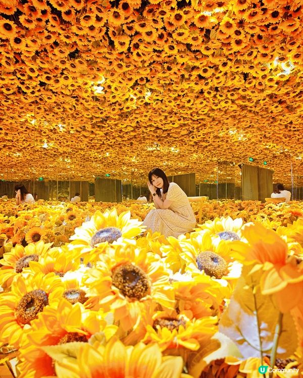 推介大家去珠海梵高星空藝術館，大量打卡位，每間房間都有不同元...