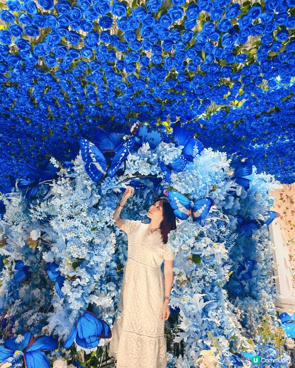 推介大家去珠海梵高星空藝術館，大量打卡位，每間房間都有不同元...