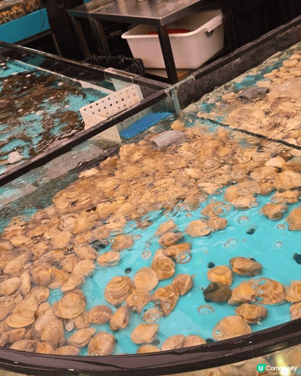 鍾意食海鮮嘅不能錯過，自撈海鮮放題，遇啱大閘蟹季節，每人送一...