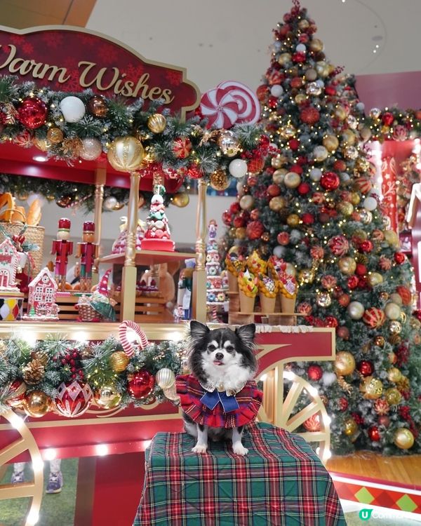 小朋友最鐘意嘅糖果🍬車😍✨