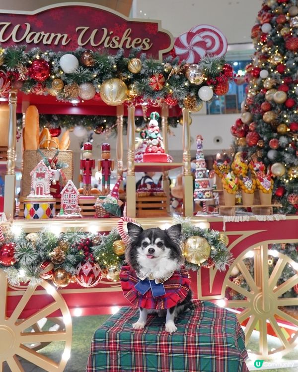 小朋友最鐘意嘅糖果🍬車😍✨