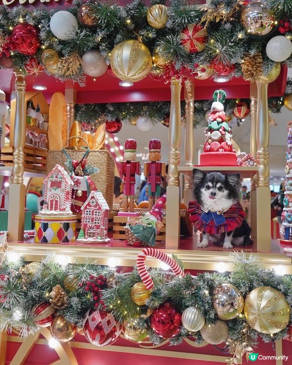 小朋友最鐘意嘅糖果🍬車😍✨