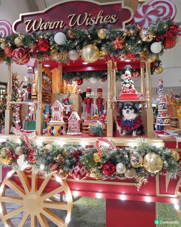 小朋友最鐘意嘅糖果🍬車😍✨