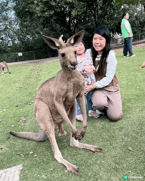 上個暑假，媽咪帶我去咗上海旅行，到野生動物園見到好多動物🦒🦓...