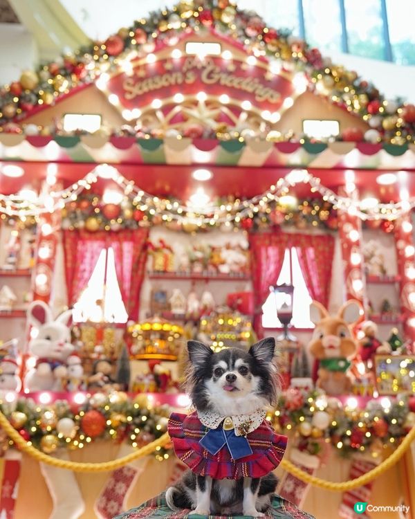 康城聖誕🎄☆*:.｡. o(≧▽≦)o .｡.:*☆✨