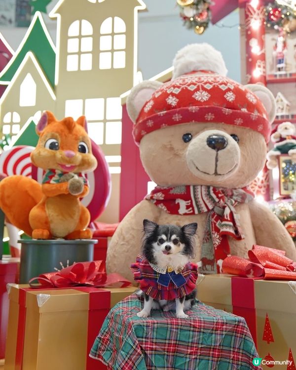 康城聖誕🎄☆*:.｡. o(≧▽≦)o .｡.:*☆✨