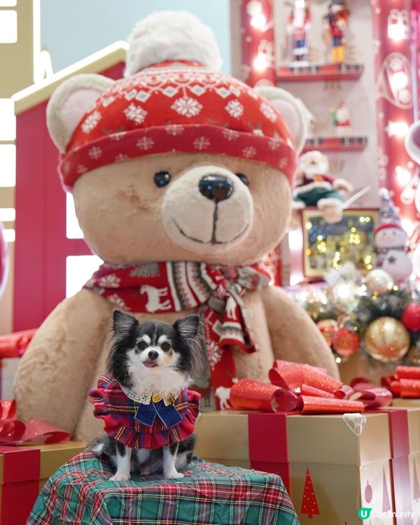 康城聖誕🎄☆*:.｡. o(≧▽≦)o .｡.:*☆✨