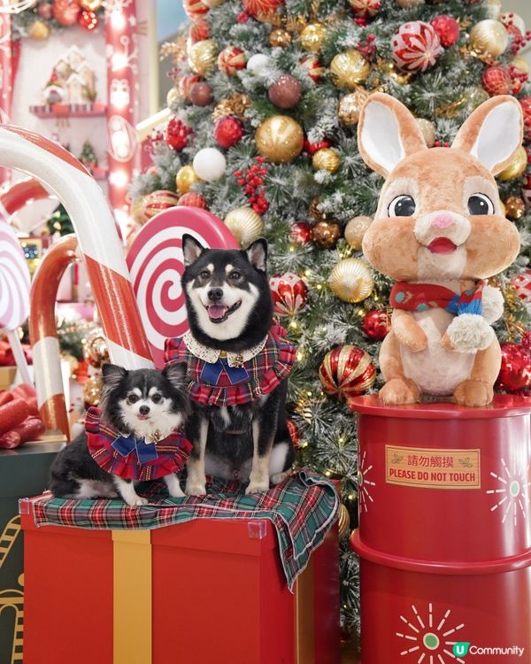 久違兩兄弟正經合照🎄