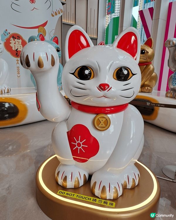 崇光 啟德店一週年🎉, 感謝祭開始🎑， 貨物應有盡有🎁, 很...