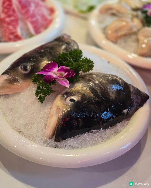 譚魚頭 - 經典火鍋重現