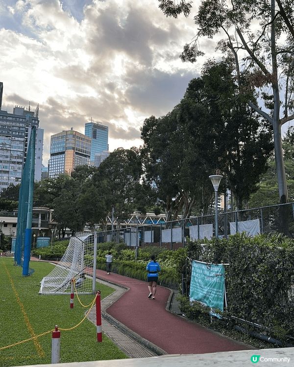 呢度係維園及銅鑼灣運動場，因戶外，所以蚊蟲比較多，細菌都很多...
