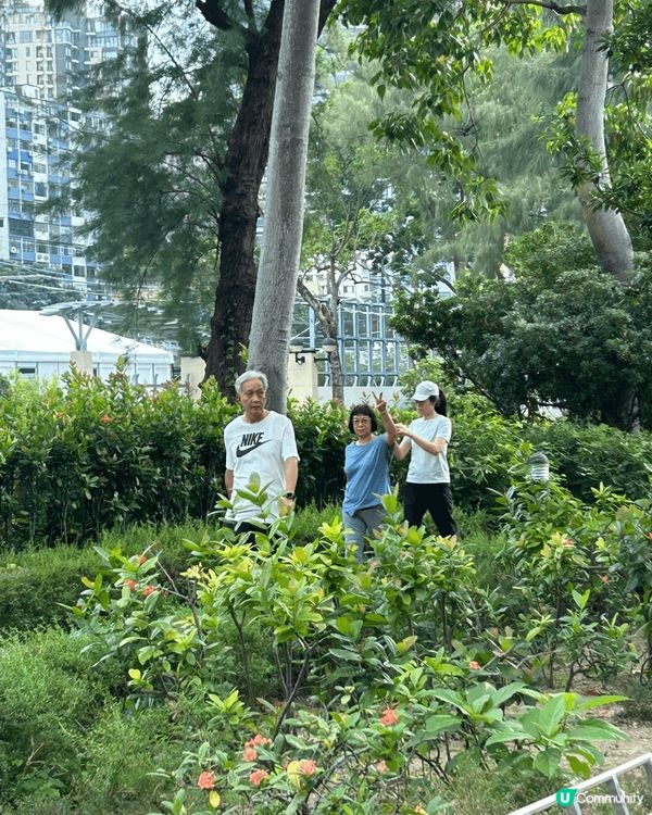 呢度係維園及銅鑼灣運動場，因戶外，所以蚊蟲比較多，細菌都很多...