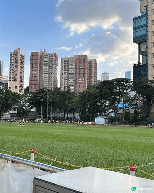 呢度係維園及銅鑼灣運動場，因戶外，所以蚊蟲比較多，細菌都很多...