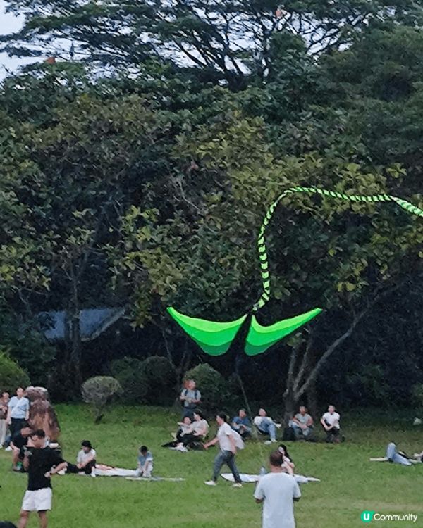 週日嘅深圳蓮花山公園，陽光普照,風和日麗很多小孩子玩風箏,媽...