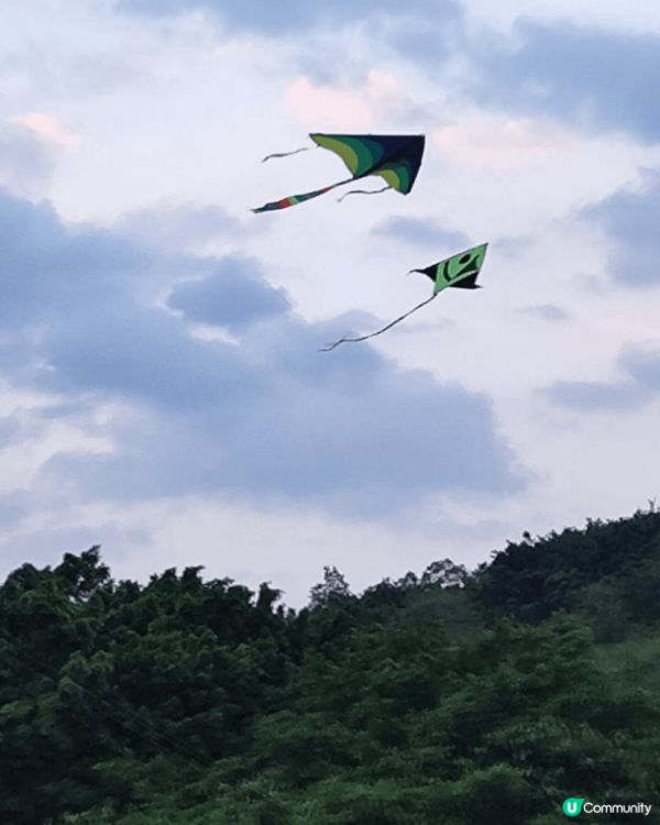 週日嘅深圳蓮花山公園，陽光普照,風和日麗很多小孩子玩風箏,媽...