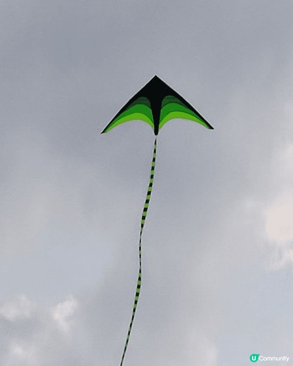 週日嘅深圳蓮花山公園，陽光普照,風和日麗很多小孩子玩風箏,媽...