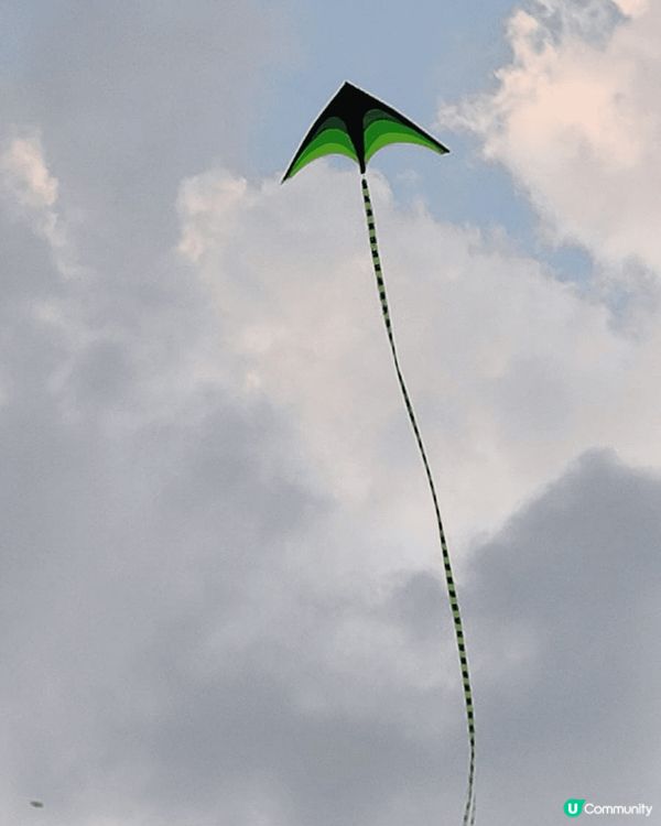 週日嘅深圳蓮花山公園，陽光普照,風和日麗很多小孩子玩風箏,媽...