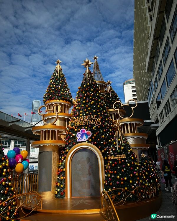 海港城 有9米高聖誕樹📸！上面是誰的耳朵？