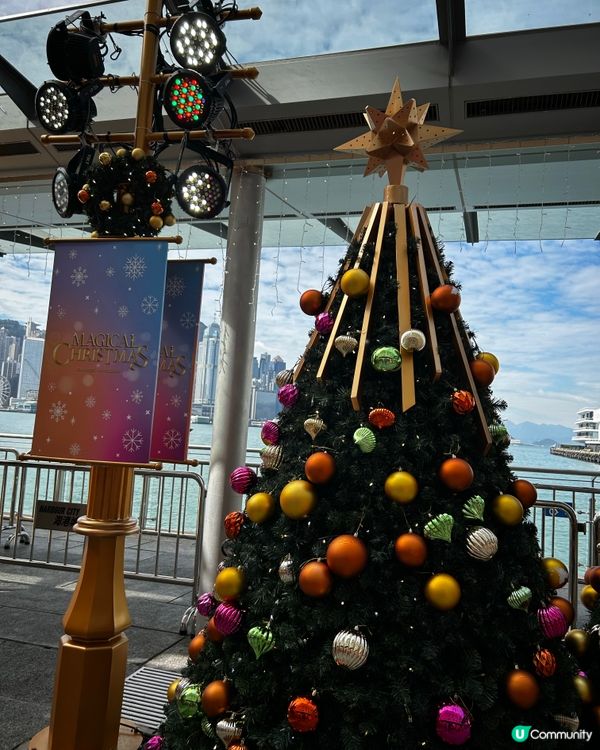 海港城 有9米高聖誕樹📸！上面是誰的耳朵？