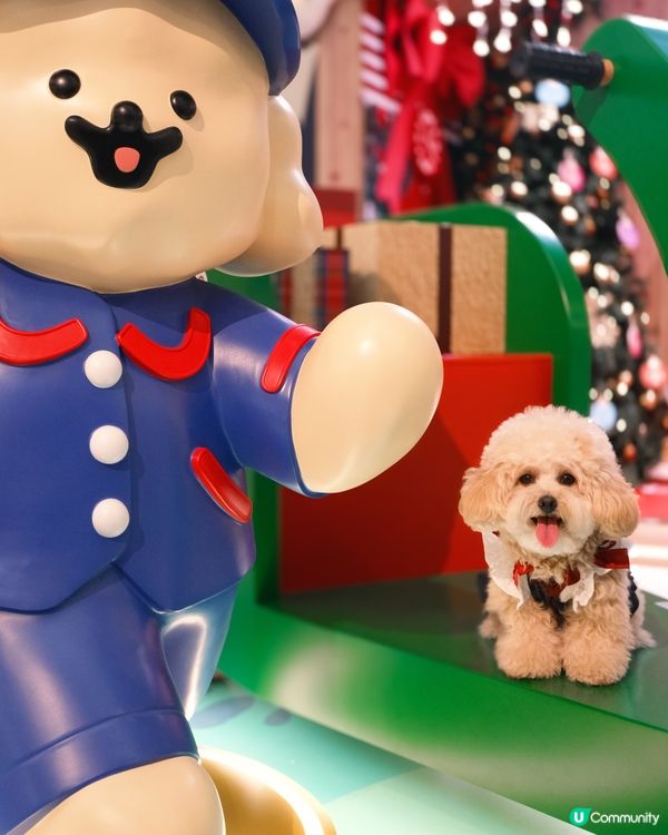 貴婦犬Muck登陸香港啦